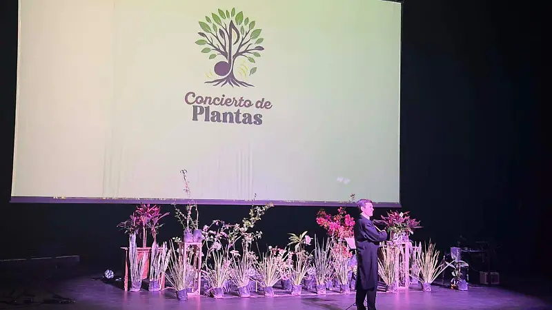 Una muestra de música diferente.